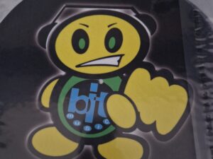 BIT MUSIC GUY SLIPMATS PAIR