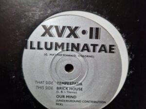 Tempesta & party time rabbit city