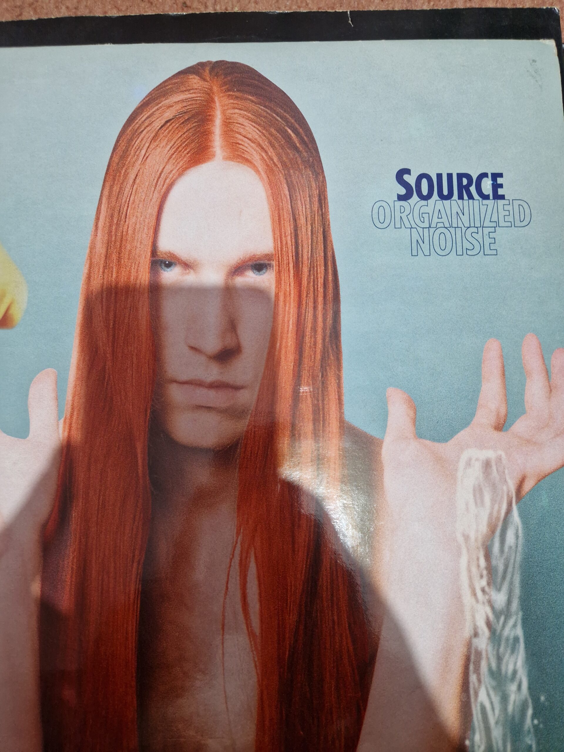 Source organized Noise