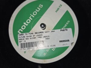 FUTURE SOUND OF LONDON PAPUA NEW GUINEA 2002 REMIX