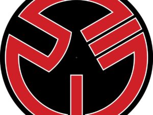 Dj bobo & Media logo slipmats