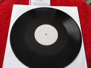 PUBLIC ENEMY Night Of The Living Baseheads UK 2-tk white label promo 12" NM
